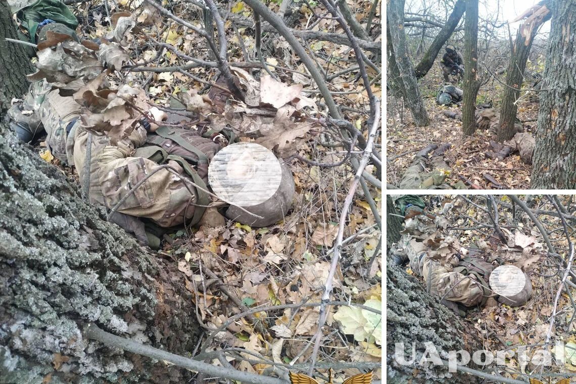 'Тілами всіяна лісосмуга': ЗСУ знищили підрозділ російських окупантів (фото та відео 18+)