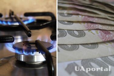 Специалисты рассказали, поможет ли газовый счетчик сэкономить зимой