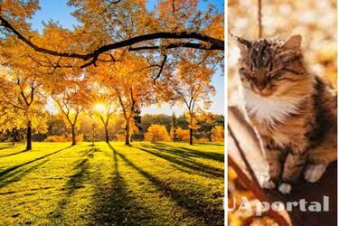 Воздух прогреется до 17 градусов: синоптики дали прогноз на 3 ноября