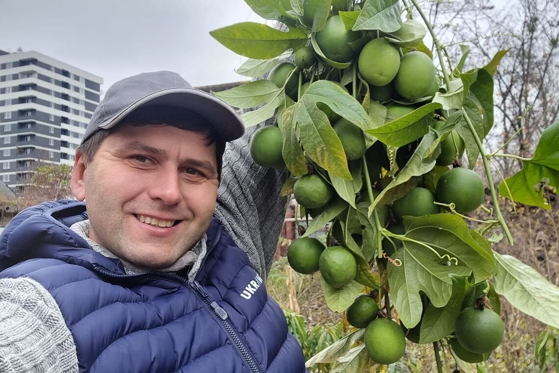 Сергей Авраменко собрал урожай маракуи в Харьковской области