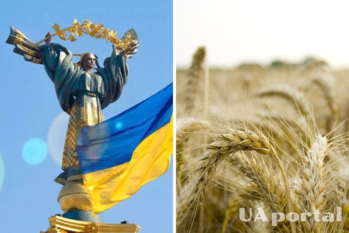 Страны Африки получат украинское зерно бесплатно: кто заплатит за агропродукцию
