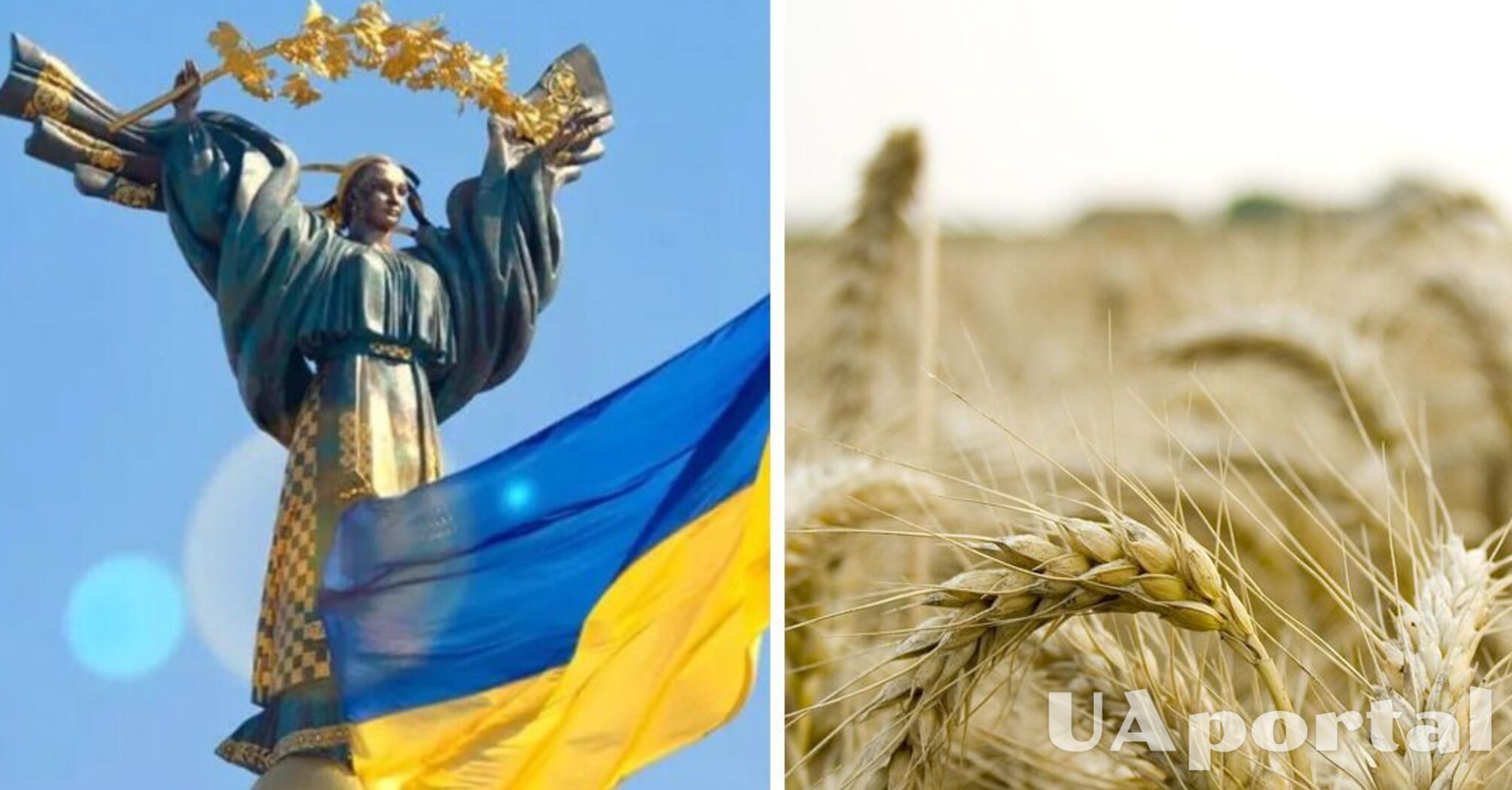 Країни Африки отримають українське зерно безкоштовно: хто заплатить за агропродукцію