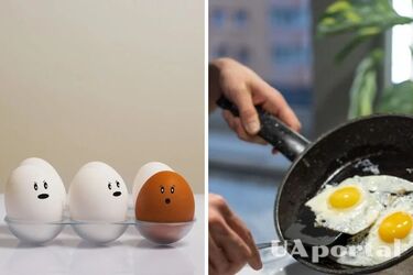 Сніданок за 5 хвилин: як приготувати корисну яєшню з морквою та сиром