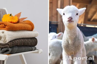 Эффективные советы, которые помогут смягчить шерстяную одежду