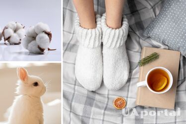 Натуральные vs синтетические: какие выбрать носки, в которых не будут потеть ноги