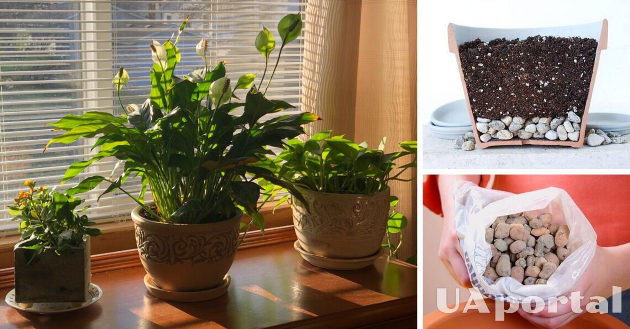 Можно ли использовать пенопласт для дренажа комнатных растений
