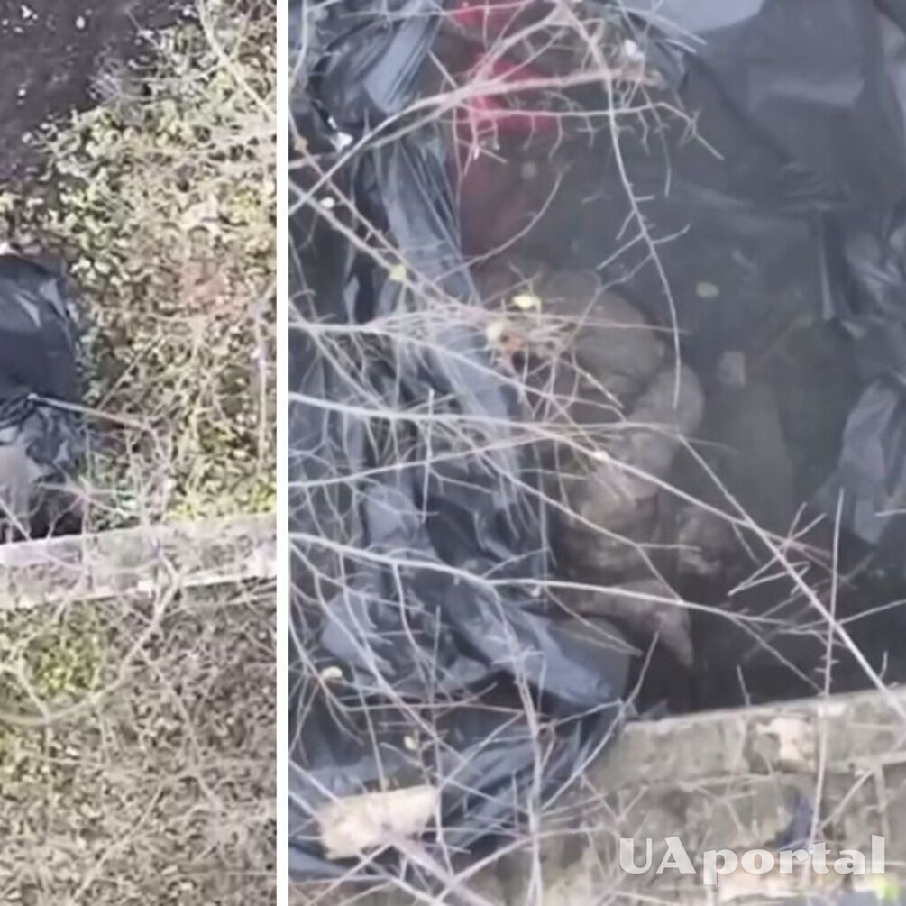 ВСУ мастерски ликвидировали из дрона оккупанта, который скрывался среди пакетов с мусором (видео)
