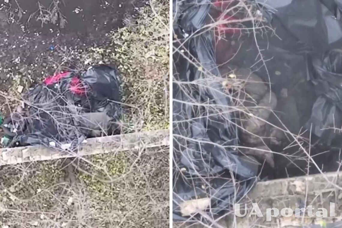 ЗСУ майстерно ліквідували з дрона окупанта, який ховався серед пакетів зі сміттям (відео)