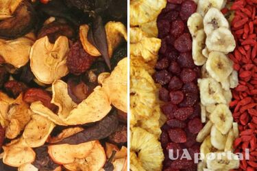 Как правильно хранить сушеные фрукты и ягоды – как сушить фрукты