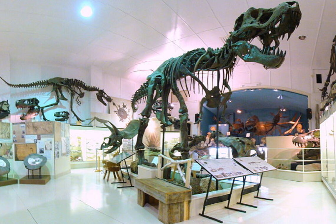 Скелет динозавра Stan