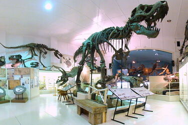 Скелет динозавра Stan