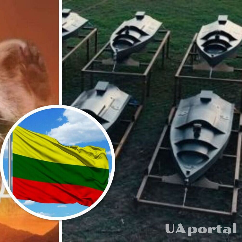 Беспилотники приплывут незаметно: литовцы собрали $750 тыс. на три морские дроны для Украины и выбрали название последнему