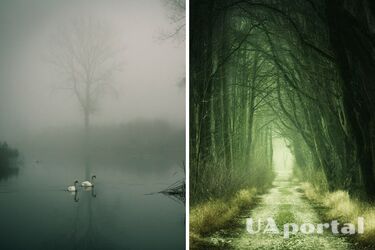 Дощі, мокрий сніг та тумани: в Україні вихідними зіпсується погода