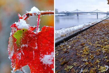 Можливий мокрий сніг, дощ, мряка та густий вогкий туман: синоптики дали прогноз на вихідні