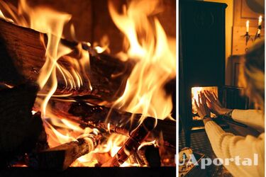 Какие дрова больше всего подходят для обогрева жилища печью и камином