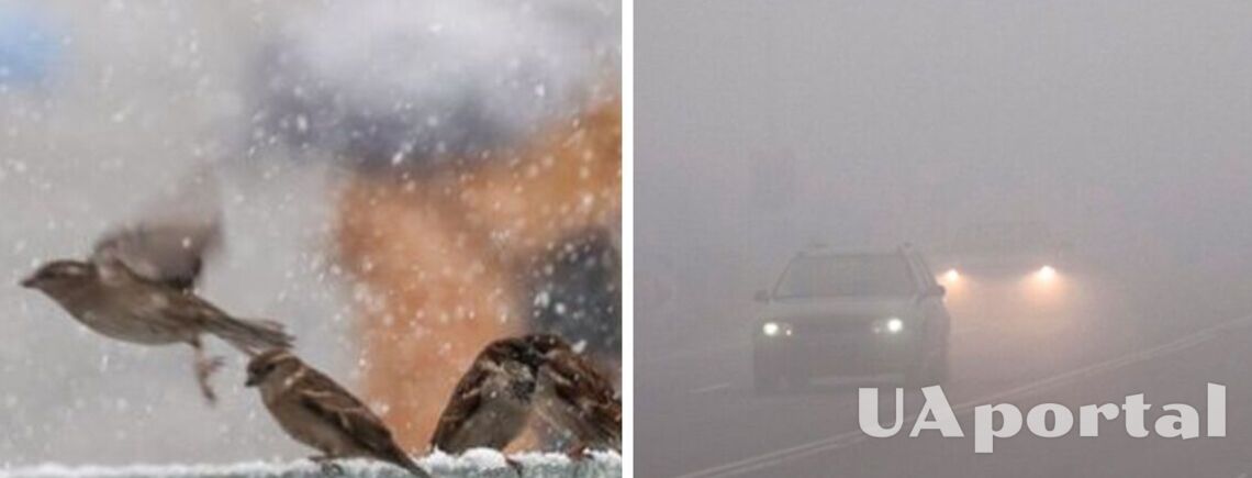 Сильный туман и гололед: синоптики предупредили об опасных погодных условиях в Украине