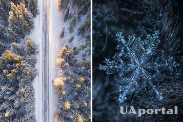 Якою буде погода в грудні 2022 року. Прогноз погоди на основі даних Gismeteo і Wisemeteo.