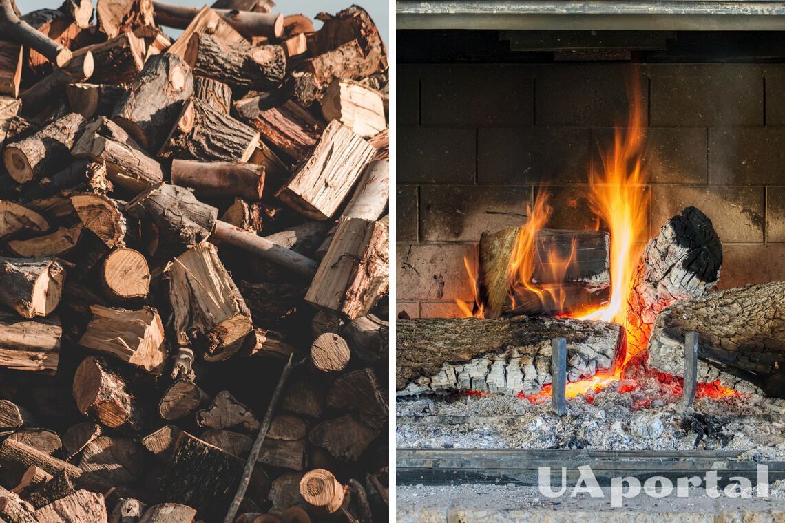Які дрова не купувати - які дрова погано горять та не дають тепла
