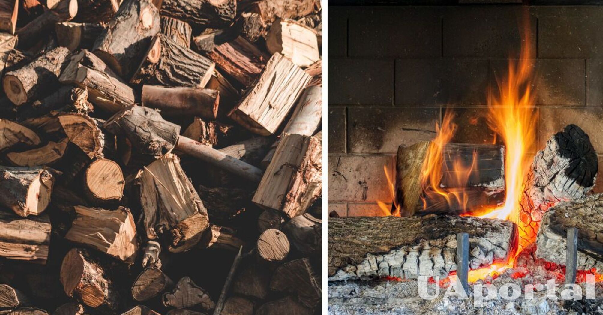 Не будуть давати тепла: які дрова не підходять для опалювання дому та чому