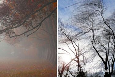 Синоптики предупредили о тумане и сильном ветре в понедельник