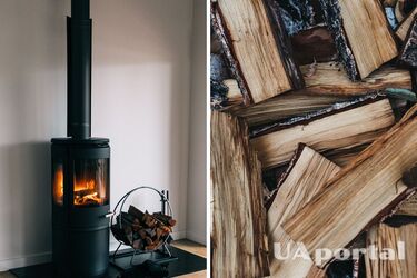 Як не потрібно зберігати дрова, щоб потім не мучитися - основні помилки