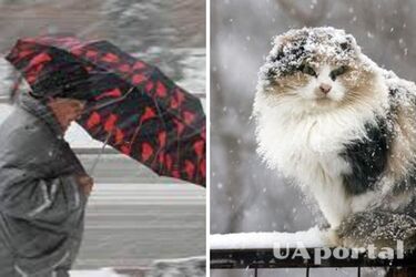 Очікується невеликий сніг та сильний вітер: синоптики дали прогноз на останній день осені