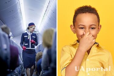 Стюардеси розповіли про незвичні секрети, які приховують від пасажирів