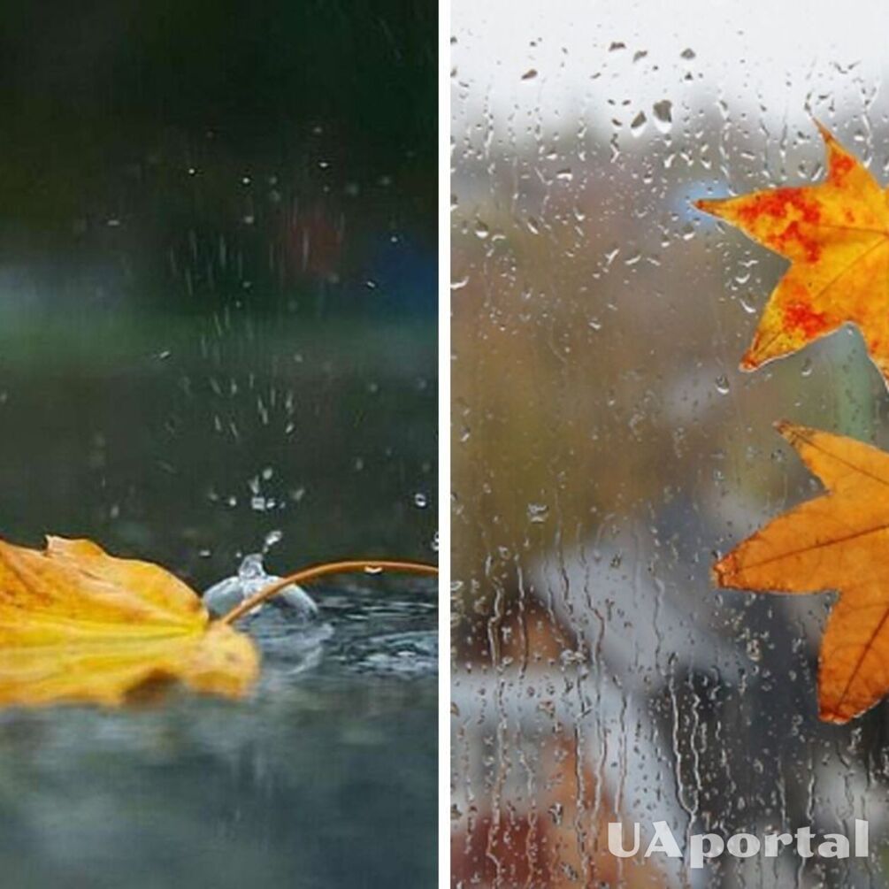 Сыро и с дождем: синоптики дали прогноз на 4 ноября