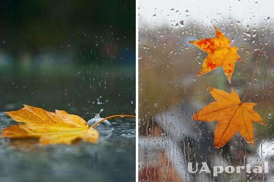 Вогко та з дощем: синоптики дали прогноз на 4 листопада