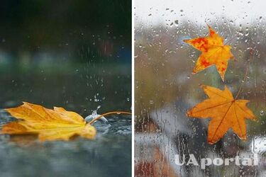 Вогко та з дощем: синоптики дали прогноз на 4 листопада