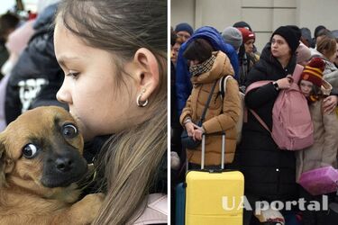 Правила ввезення домашніх тварин до Європи: які документи треба оформити