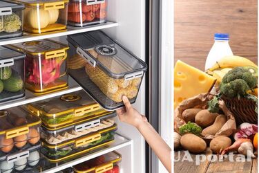 Як зберегти продукти харчування без світла, та яку їжу необхідно викинути з холодильника 