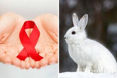 Яке свято 1 грудня - яке свято сьогодні - чий день ангела сьогодні