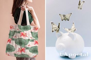 Как экономят шведы: философия lagom и рациональное использование компуслуг