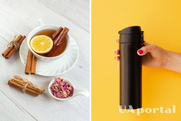 Как выбрать качественный термос для еды и напитков: виды, материалы и функциональность