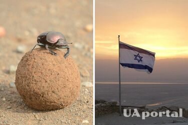 Во время экскурсии была обнаружена интересная древняя находка