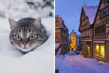 Температура опустится до -14 градусов: народный синоптик дал прогноз на декабрь