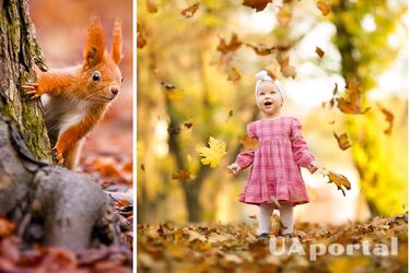 В выходные ожидается дождь, туман и +17 градусов: синоптики дали прогноз