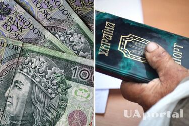 Украинцы в Польше могут получить по 710 злотых: как оформить заявку