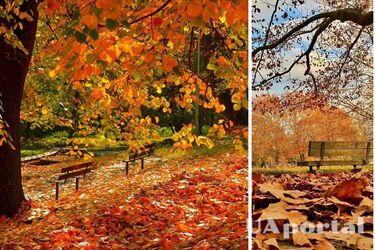 Будет теплее нормы: синоптик дала прогноз до конца ноября