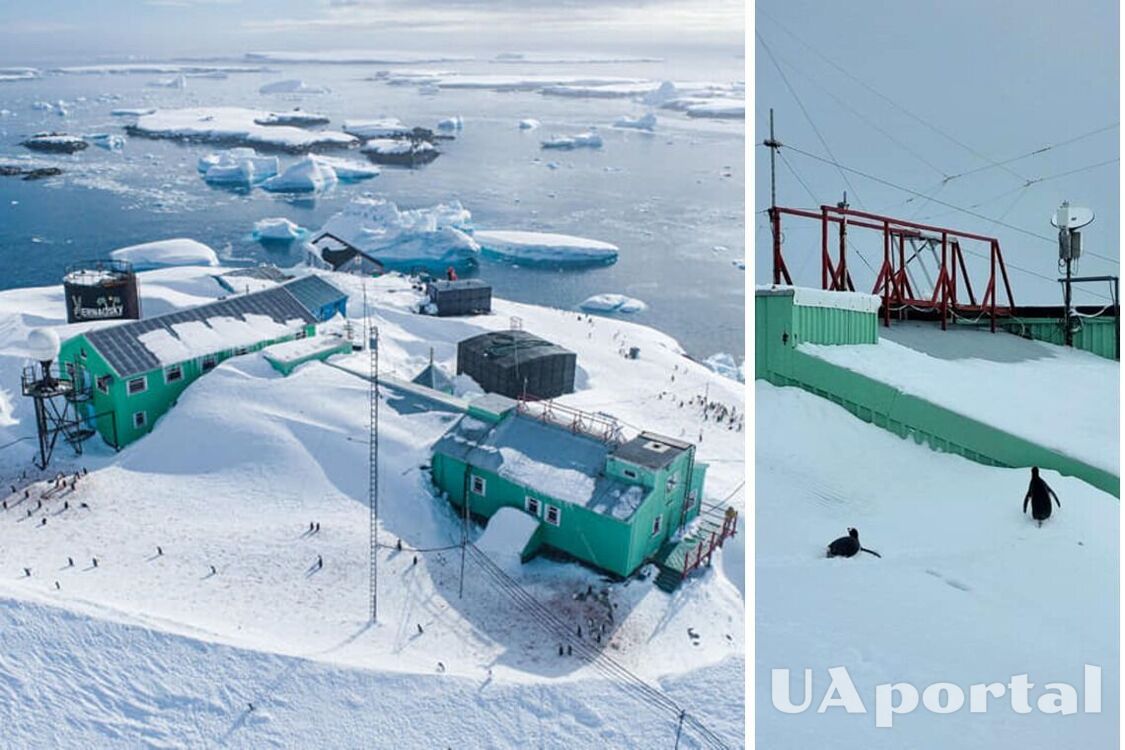 'Пингвины ходят по крыше': станцию 'Академик Вернадский' замело снегом на 3,5 м (захватывающие фото)