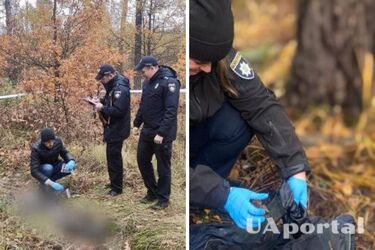Пролежало с лета: в лесу Тернопольской области нашли мумифицированное тело мужчины