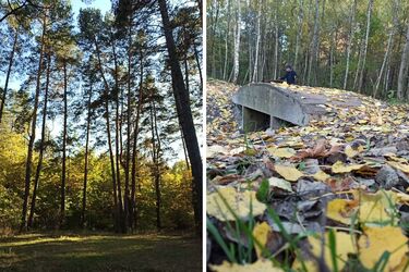 Потепління до 13 градусів: синоптики повідомили про погоду на 9 листопада