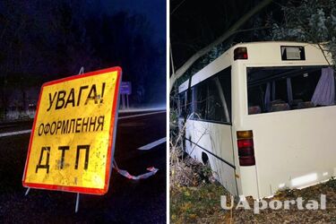 Автобус въехал в дерево в Ивано-Франковске, 14 пострадавших: фото и подробности ДТП