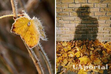 Погода в листопаді в Україні - прогноз погоди на листопад - коли похолодає та прийдуть дощі