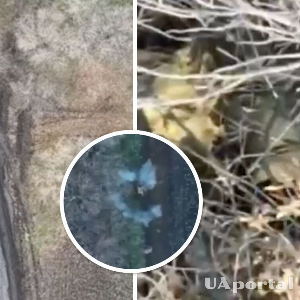 Операторы дронов показали, как 'выкуривают' оккупантов из их нор (видео)
