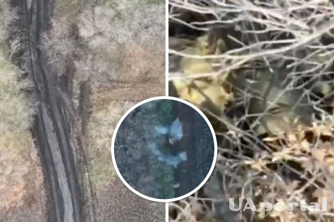 Оператори дронів показали полювання на окупантів та як викурюють їх з нір - відео