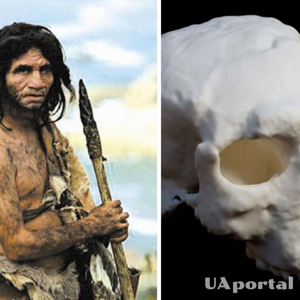 В Китае археологи обнаружили череп старше миллиона лет, который поможет узнать больше об архаических предках человека (фото)