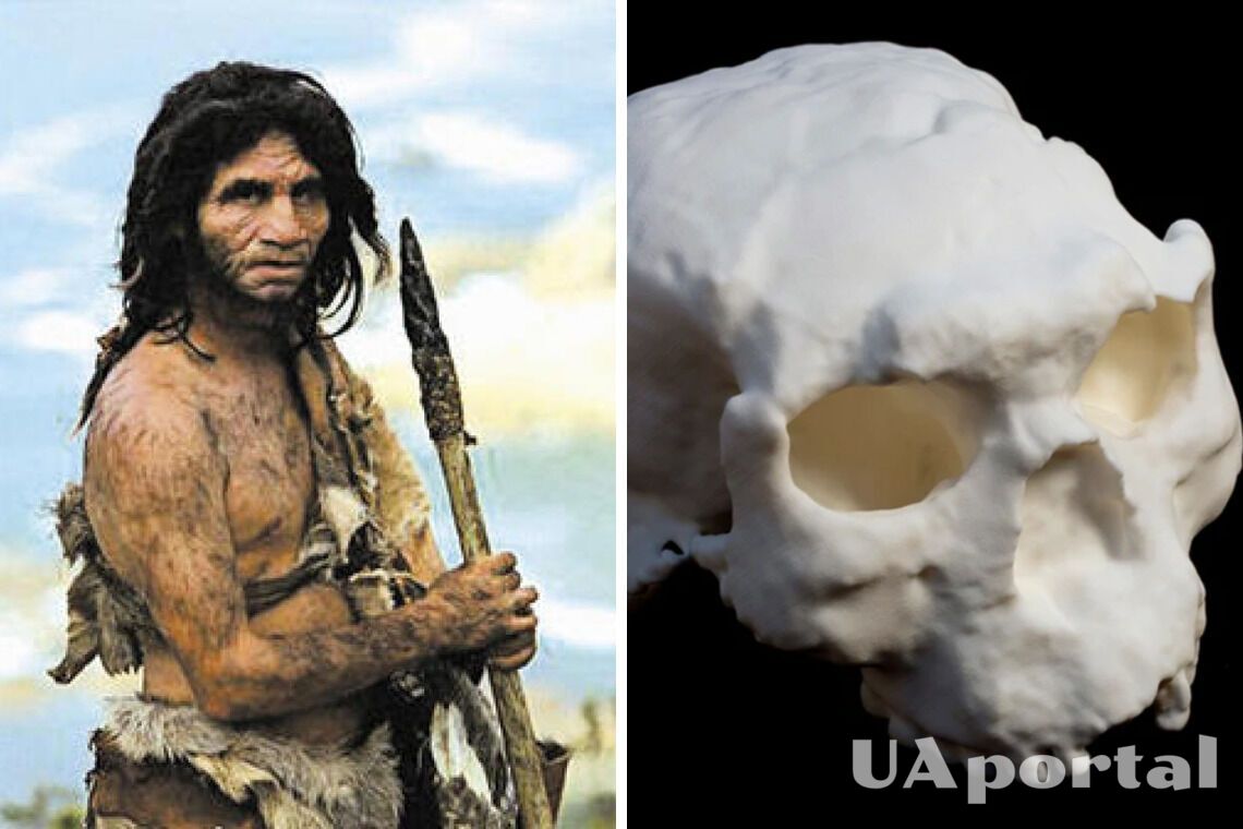 В Китае археологи исследовали череп человека старше 1 млн лет
