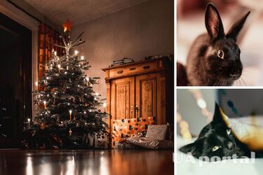 Какое животное является символом 2023 года